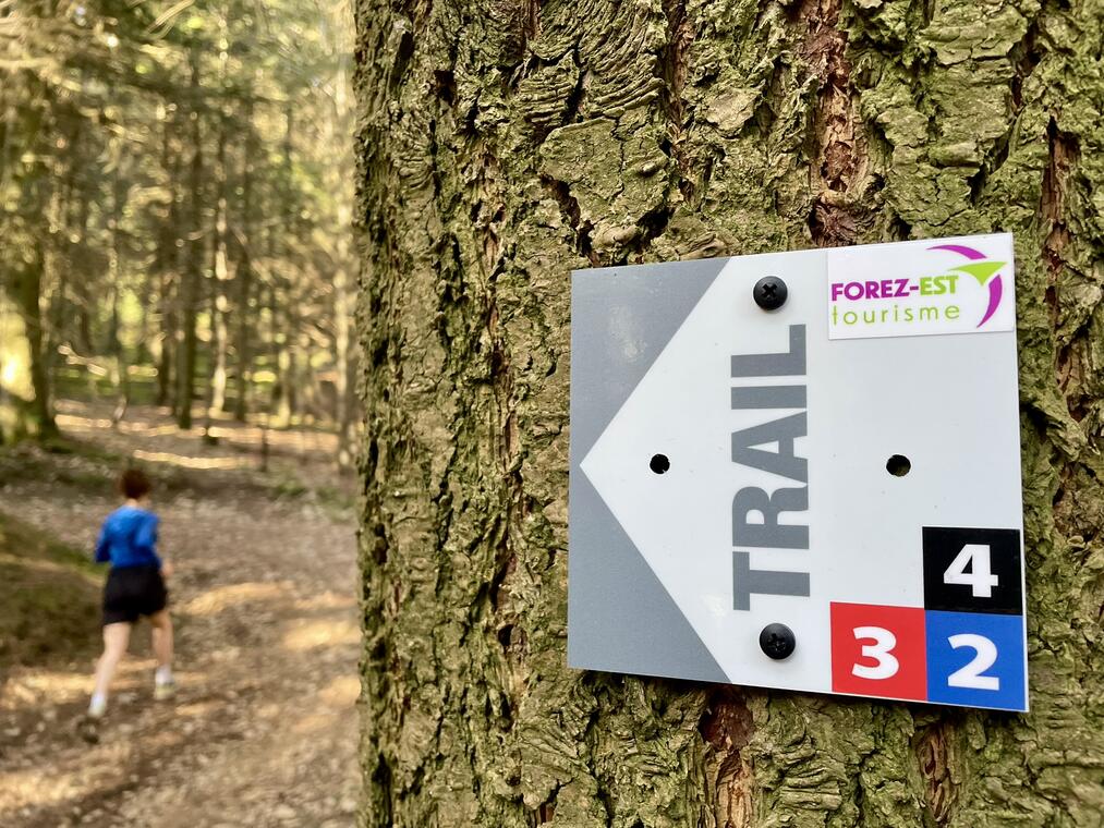 Parcours trail 4 - Maratrail de Violay_Violay