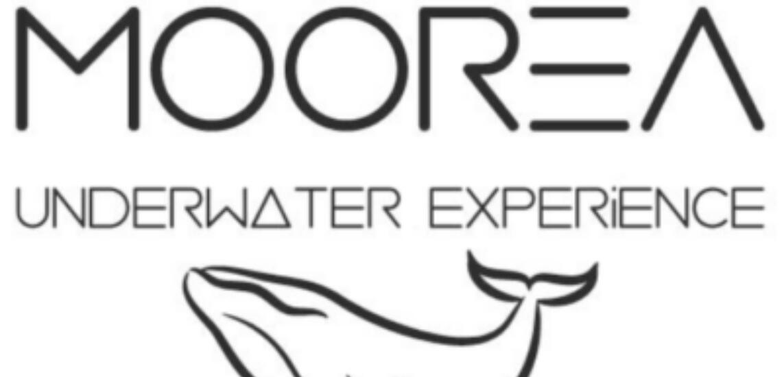 Moorea Underwater Experience - Tahiti Tourisme
