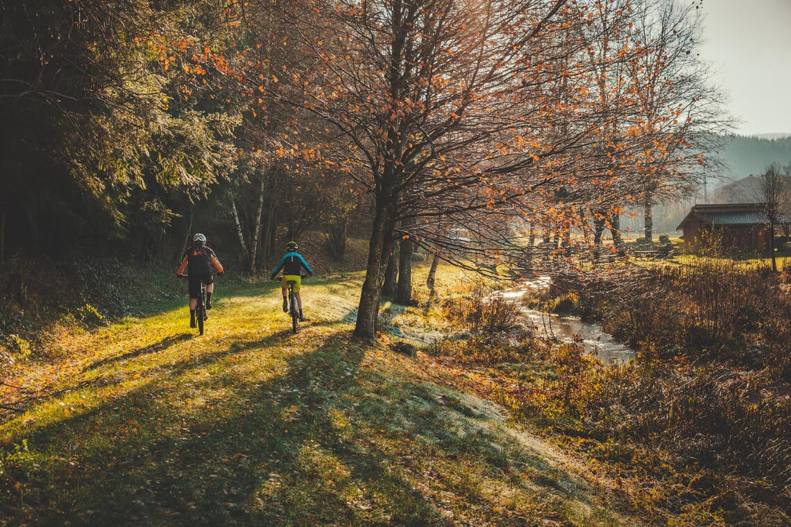 Balade en VTT à Villerest