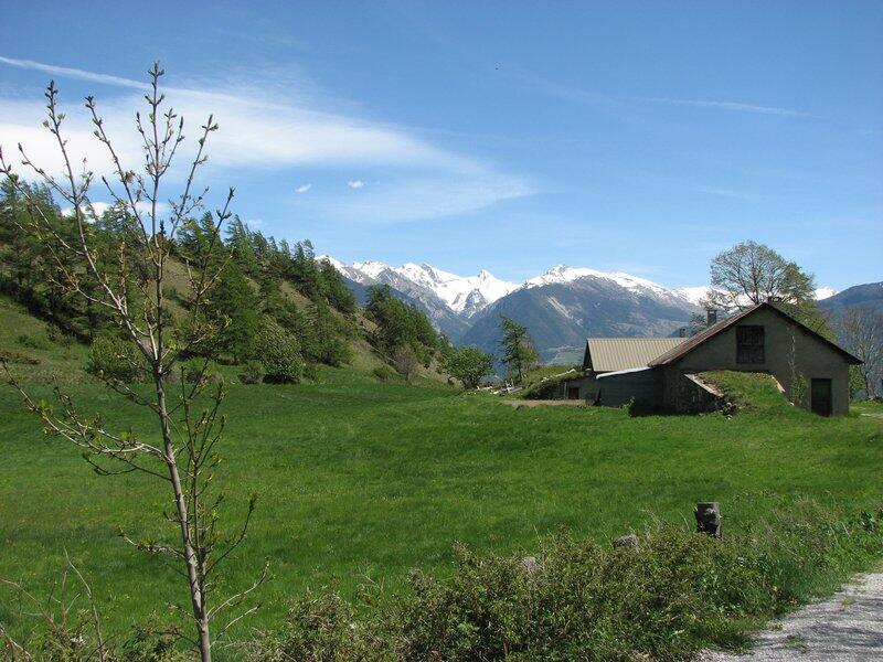 Mikéou - randonnée pédestre -Réotier -Guillestrois