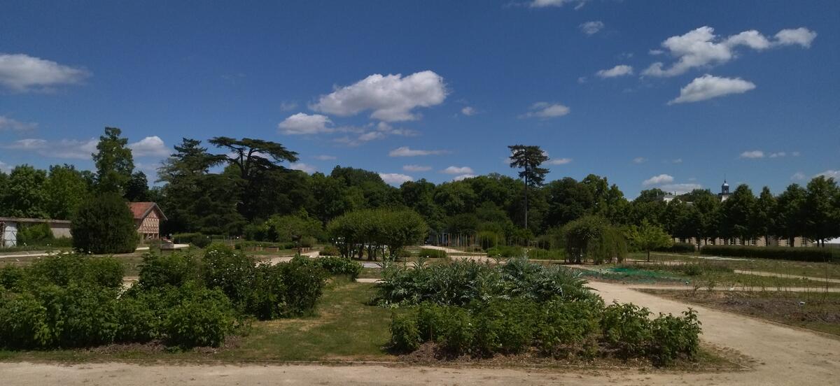 Vue du jardin-potager du domaine de la Grange - la Prévôté