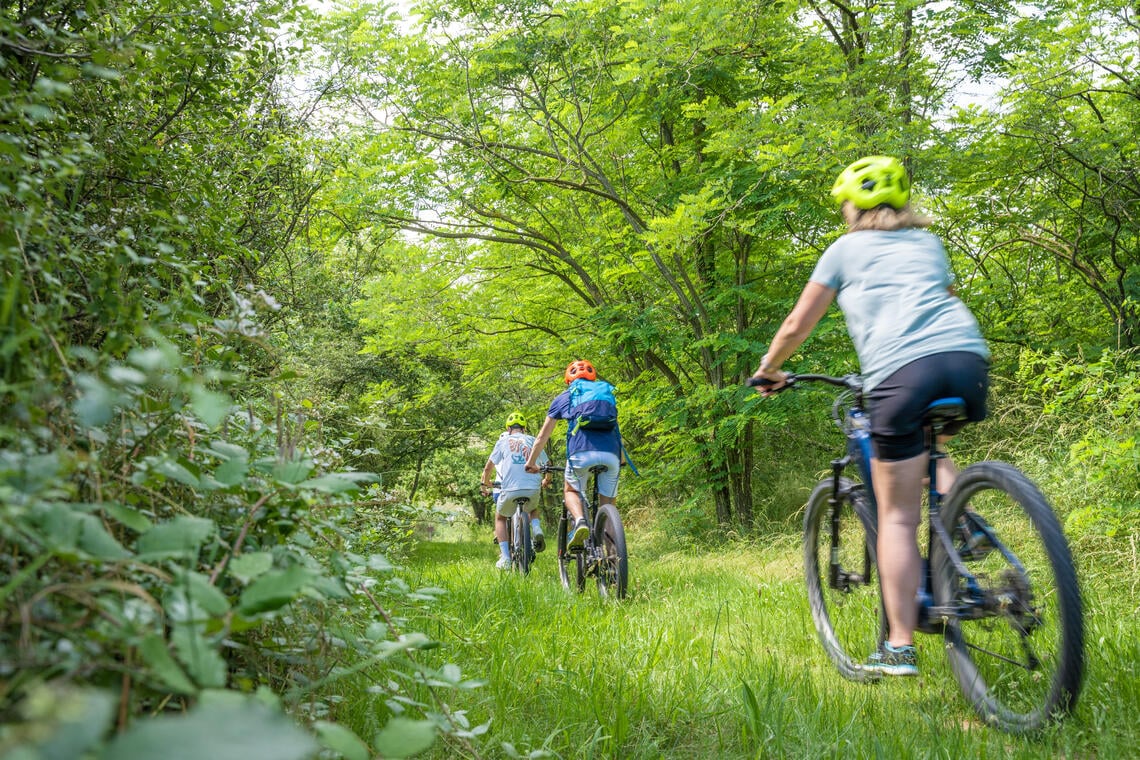 Balade VTT au cœur des Grands Murcins