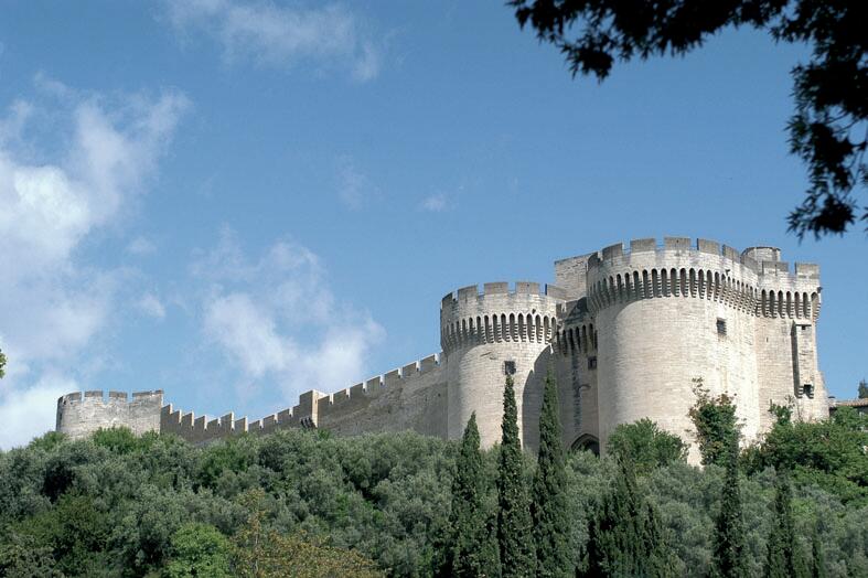 Explorez le fort Saint-André en compagnie de passionnés !_Villeneuve-lez-Avignon