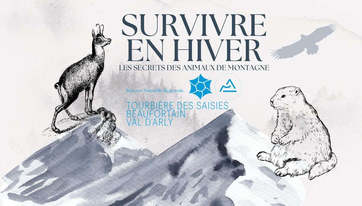 Jeu animé par la RNR "Survivre en hiver : les secrets des animaux de montagne"_Cohennoz