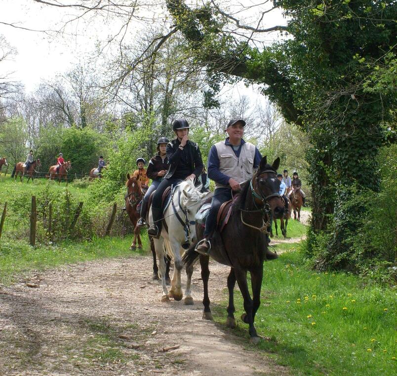 Ferme Equestre Malafretaz