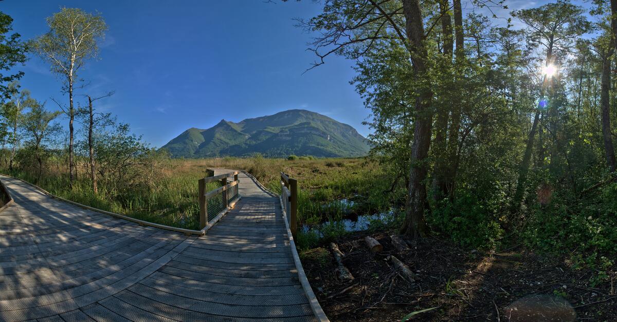 Visite guidée de la réserve naturelle_Ceyzérieu