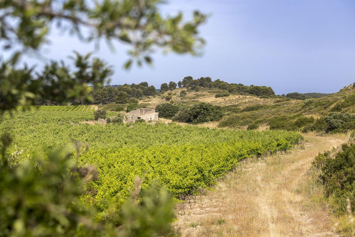 Parcours pédestre en autonomie_Lançon-Provence