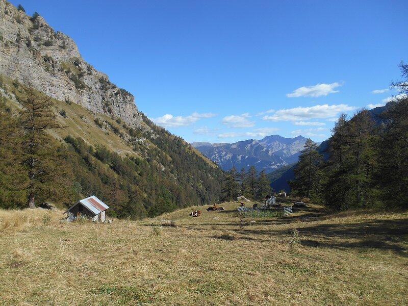 cabane