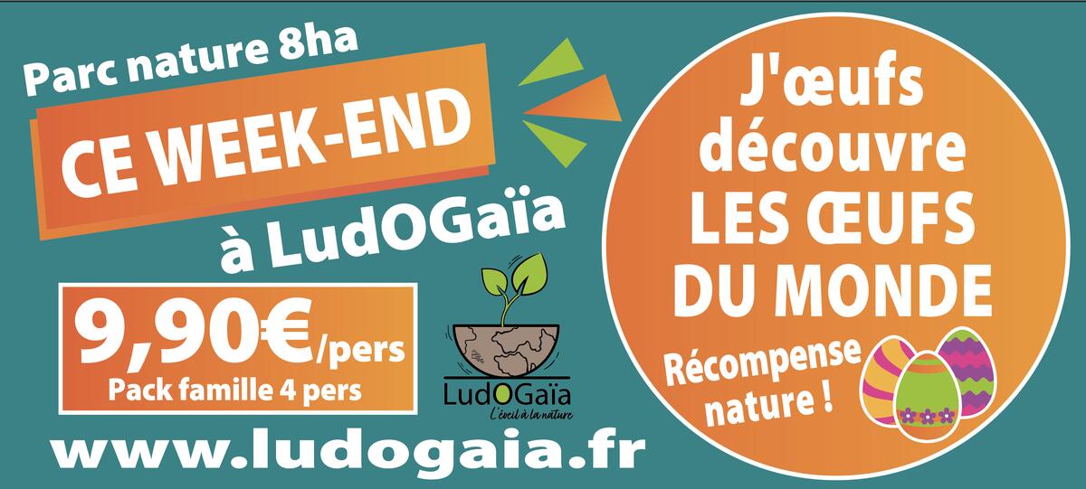 Chasse aux oeufs avec énigmes au parc LudOGaïa : "J'oeufs découvre les oeufs du monde"_Vézeronce-Curtin