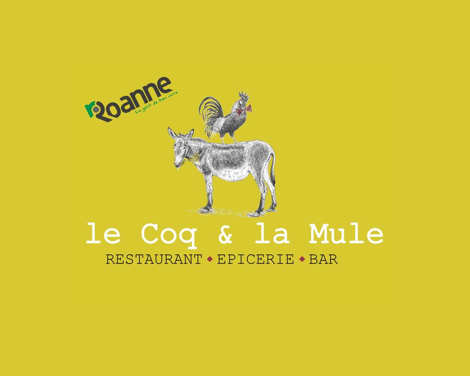 Logo à Roanne.png