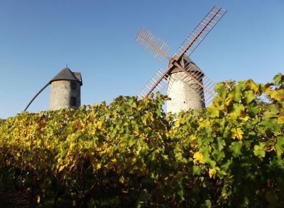 Moulins d'Ardenay