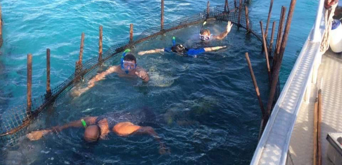 Pension Vainui - Tahiti Tourisme
