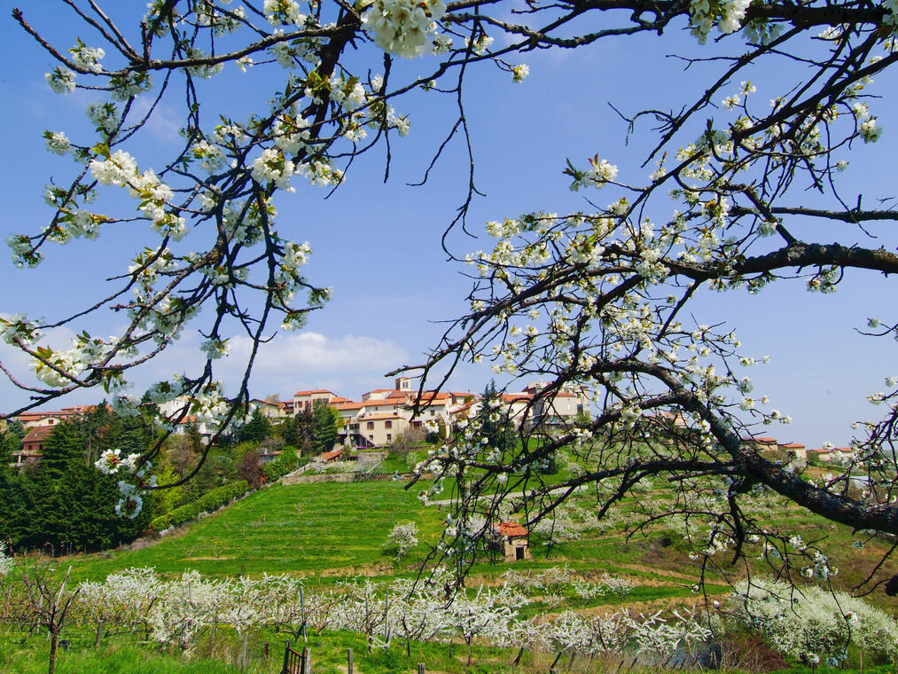 Village de Saint-Romain-en-Jarez