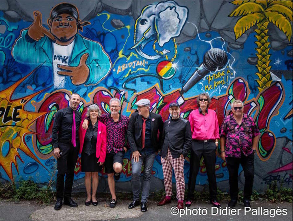 Concert - Pink Turtle_Montauban