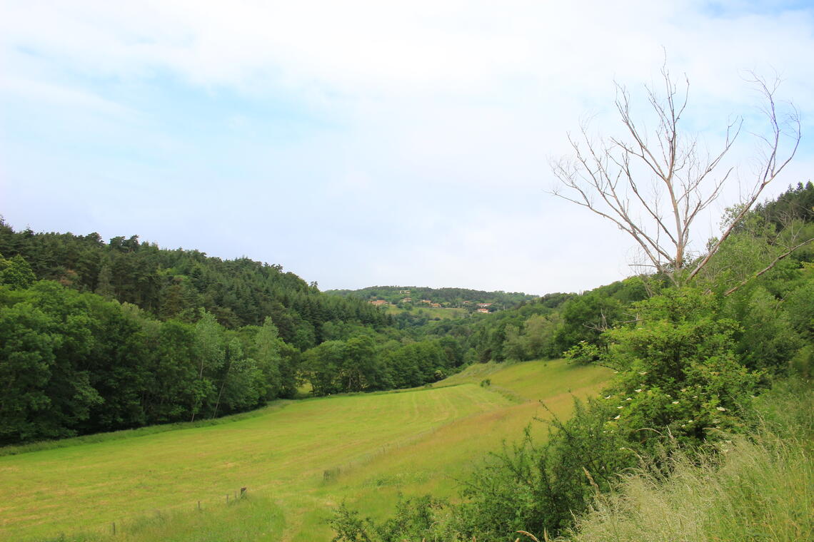 Vallon du Cotayet