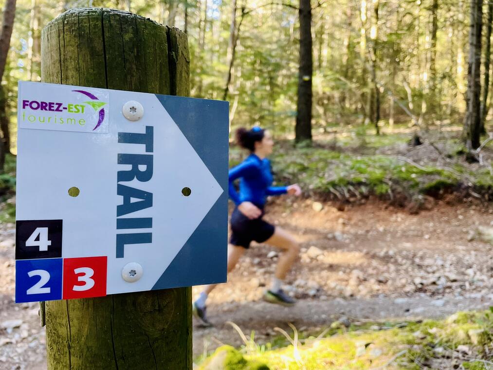 Parcours trail 2 - Violay en grandeur, les bois de Violay_Violay