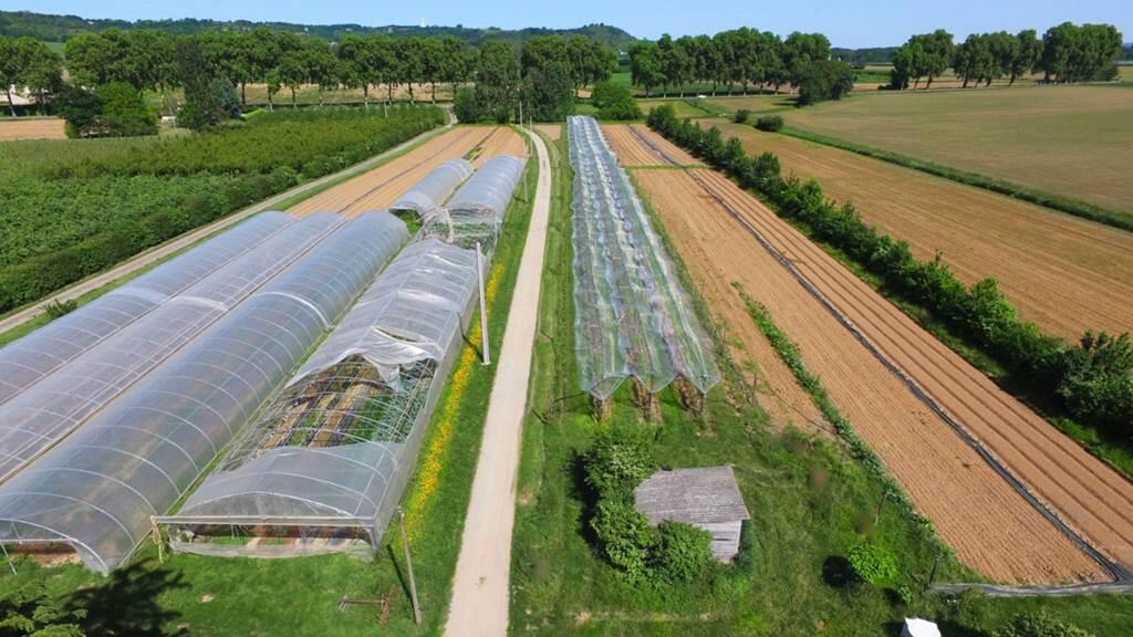 Le Jardin de Cantou