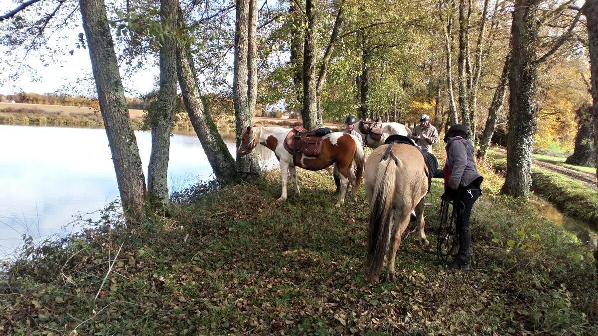 Randonnée à cheval dans l'ain