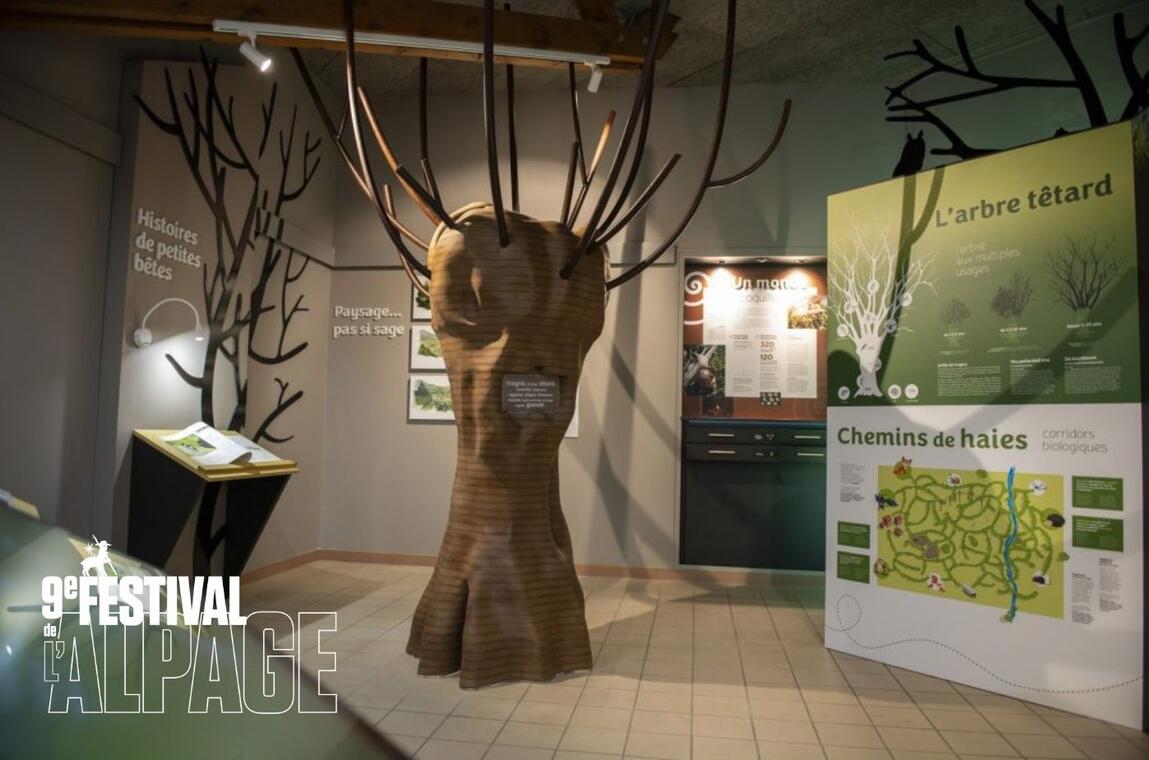 Festival de l'Alpage : Visite commentée de l’exposition Dans le secret de la haie_Saint-Jean-Saint-Nicolas