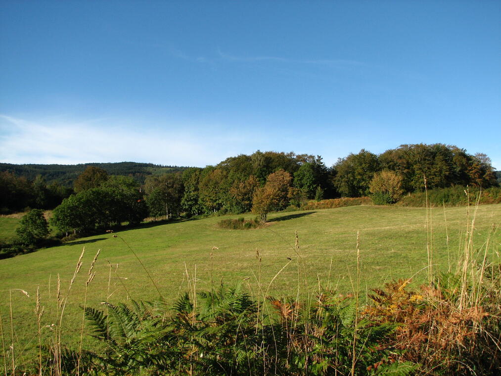 Panorama Mont Genest