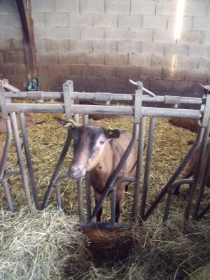 La Ferme des Bruyères