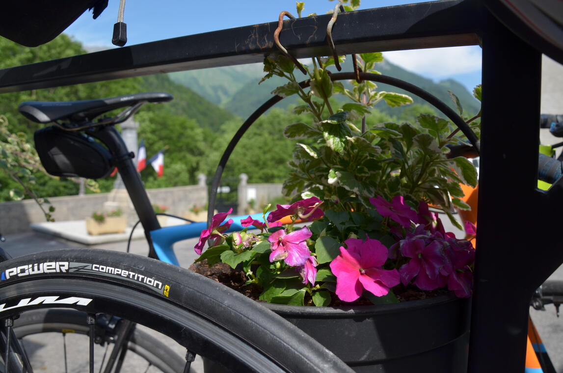 Vélo fleuri