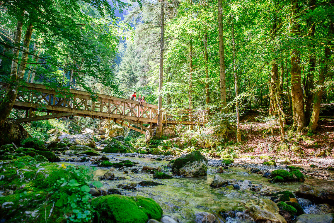 Passerelle du Cirque de St Même