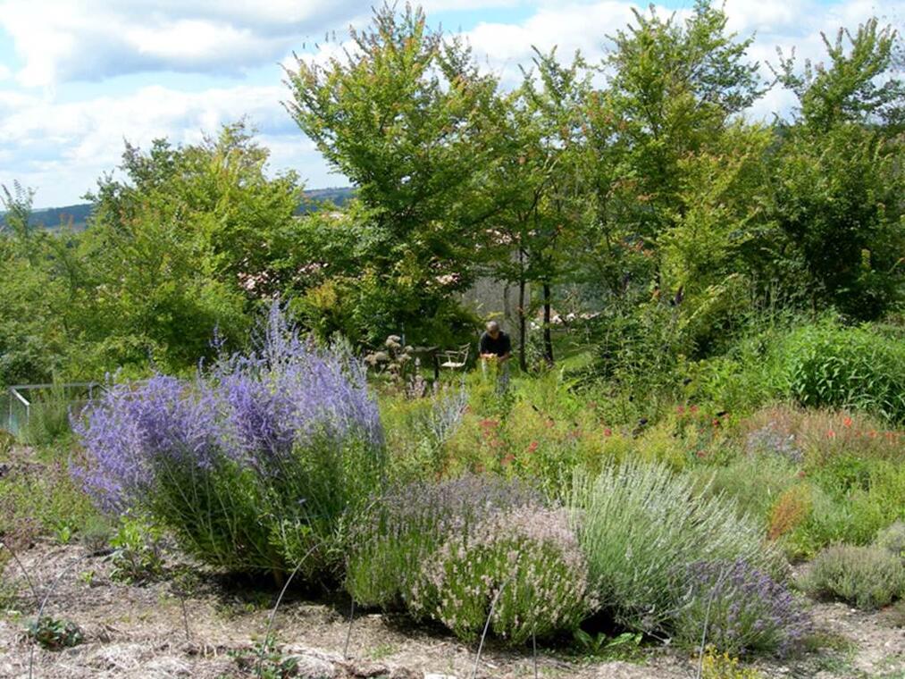 L'Atelier des aromatiques