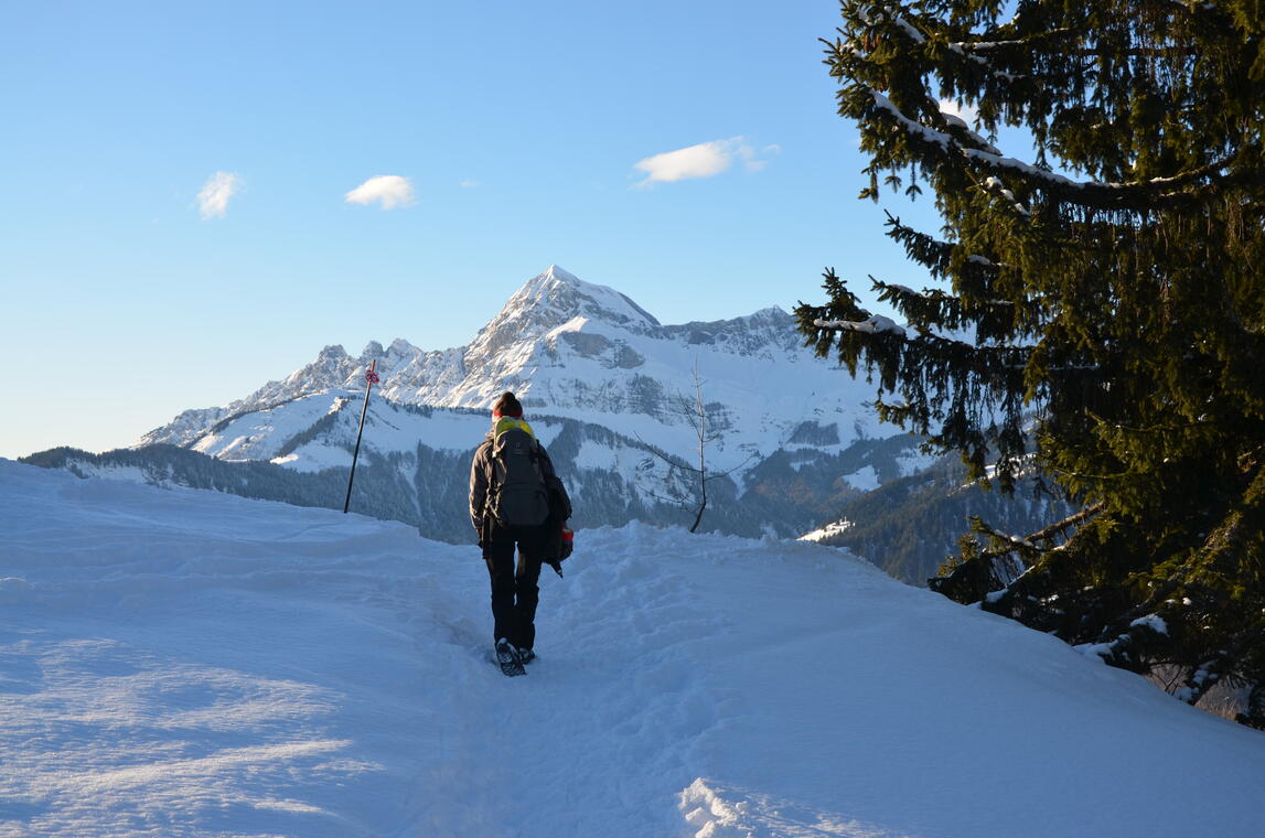 Descente du Mont Lachat