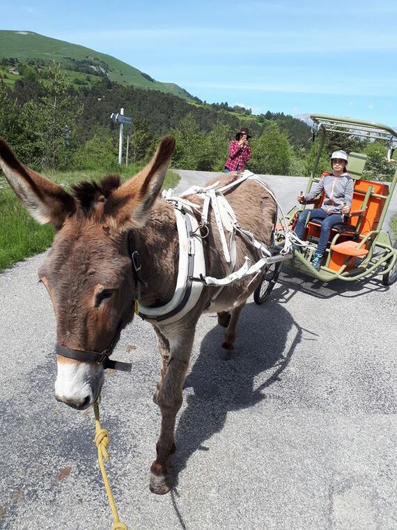 Balade en randoline