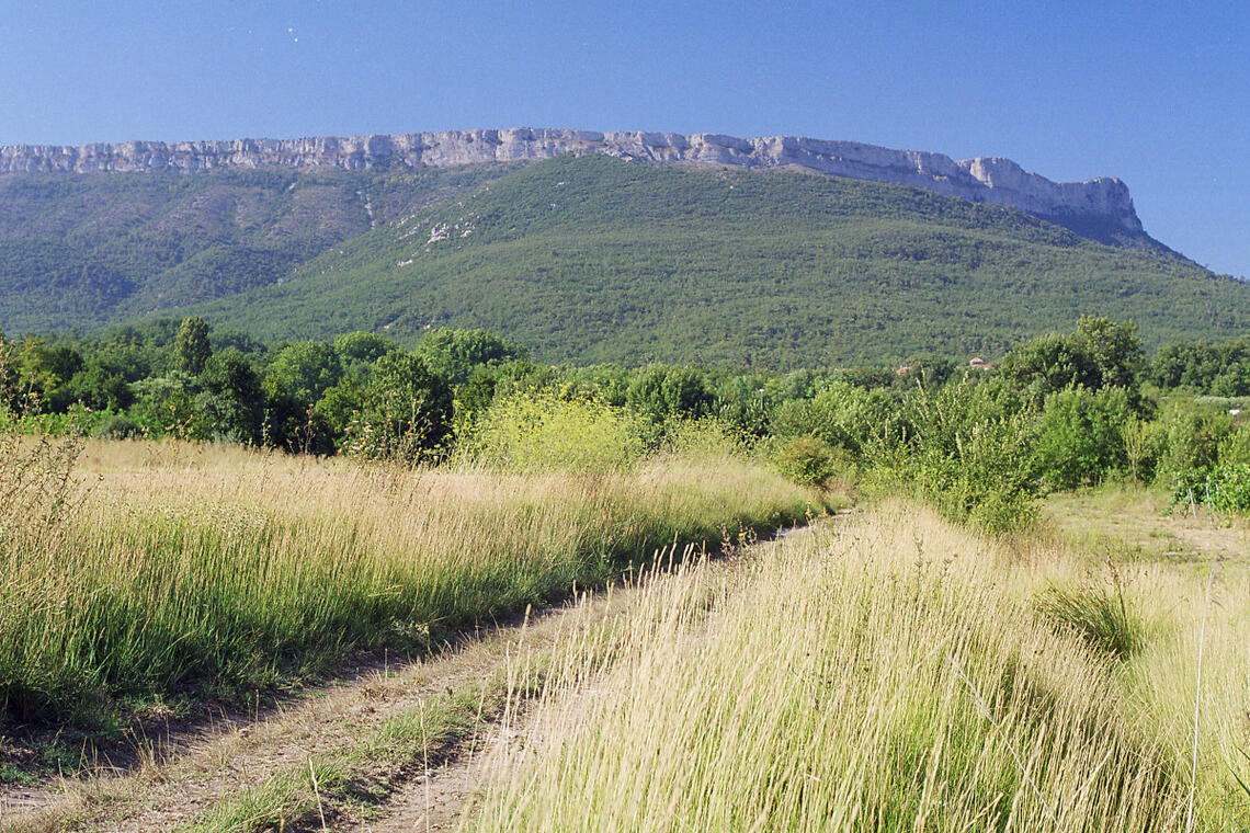 Pourcieux à travers les vignes à vélo