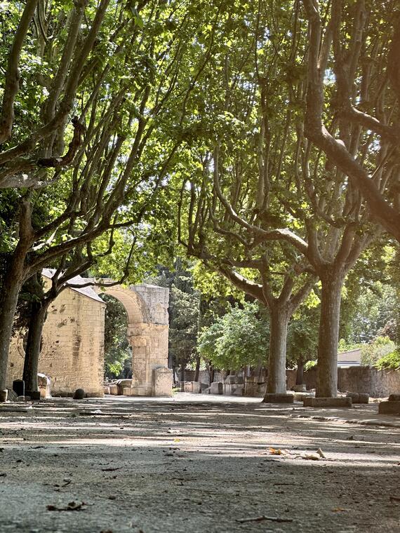 Le Chemin d’Arles - Le pèlerinage de Saint-Jacques de Compostelle_Arles