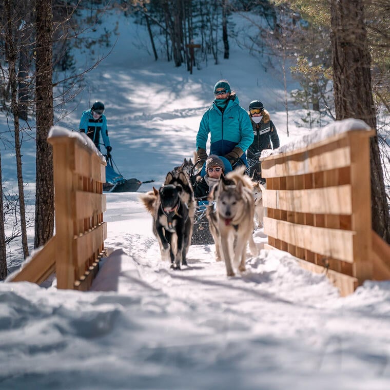 Les nocturnes chiens de traineaux - ski de fond_Abriès-Ristolas