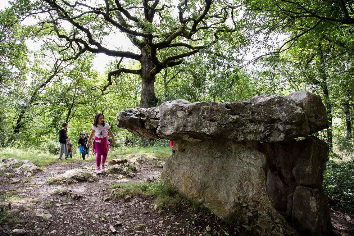 Dolmen Cap del Pouech