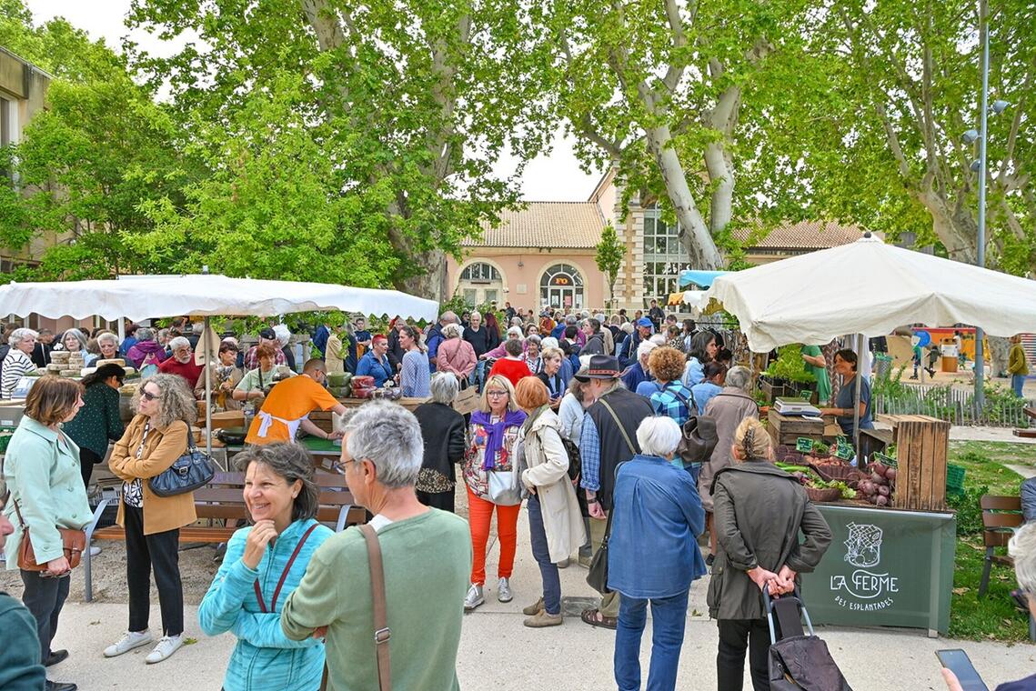 Marché du Square