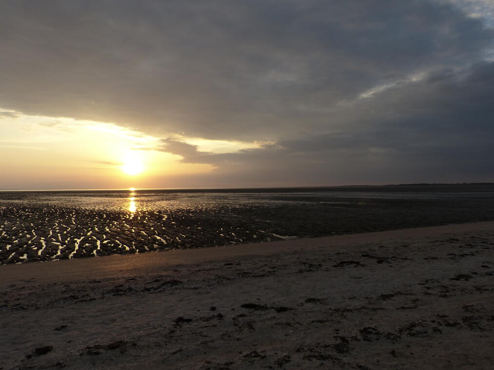 Reserve-Moeze-Oleron-LPO-Balade-crepusculaire-Saint-Froult