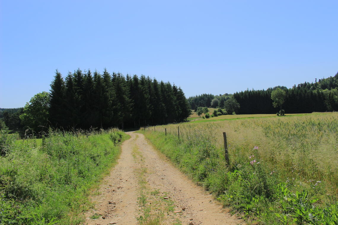 Prairies et bois de Merle Leignec