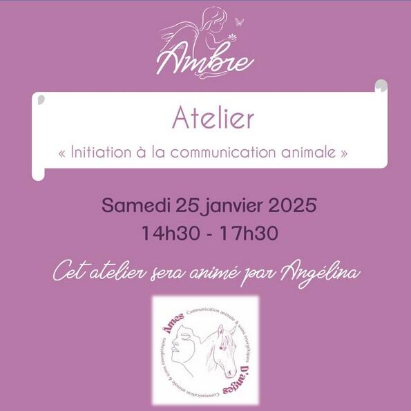 Atelier "Initiation à la communication animale"_Beaumont-de-Lomagne