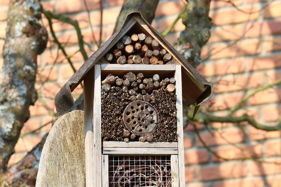 NOUVEAU  : Atelier "Aventurier de la biodiversité "_Beaumont-de-Lomagne