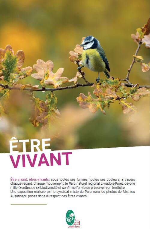 Exposition "ÊTRE VIVANT", la biodiversité du Livradois Forez_Sallèdes