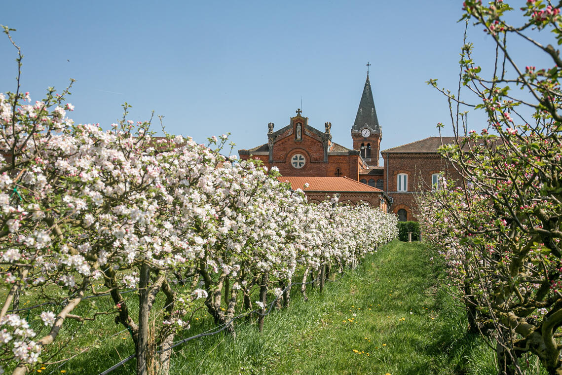 Visite du nouveau verger de l'Abbaye des Dombes_Le Plantay