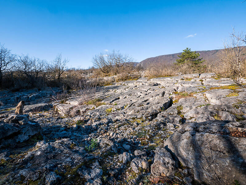 Sortie nature de la Maison du Marais " Tous au Fierloz"