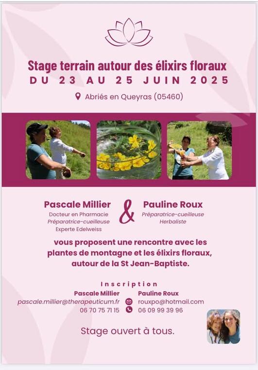 Stage terrain autour des Elixirs Floraux en Queyras_Abriès-Ristolas