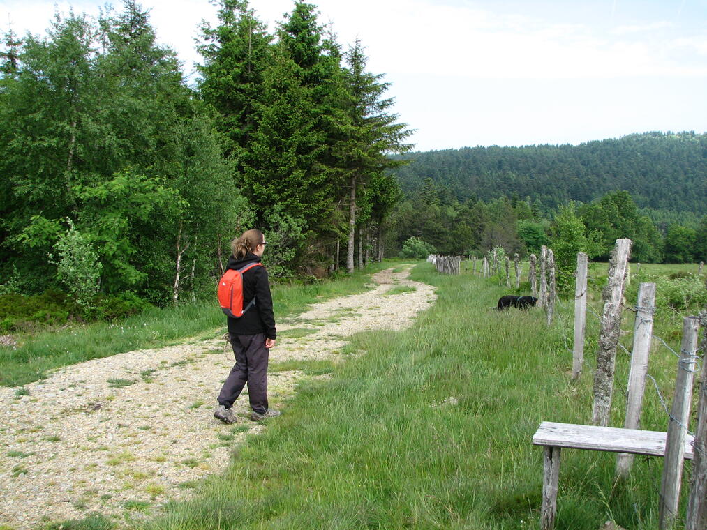 Circuit des Deux Boules