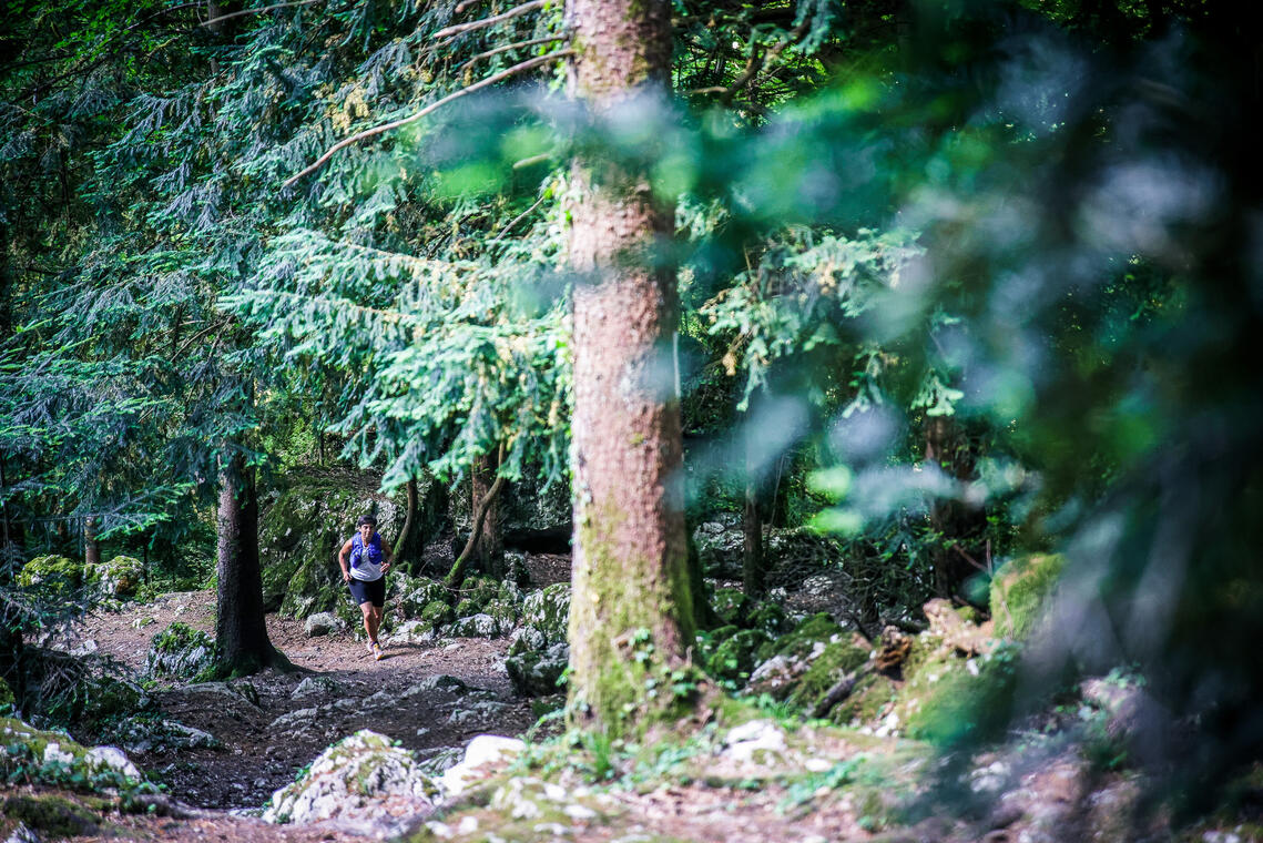 Trail dans les forêts du lac d'Aiguebelette