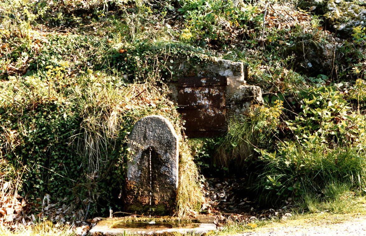 La fontaine des Dragons