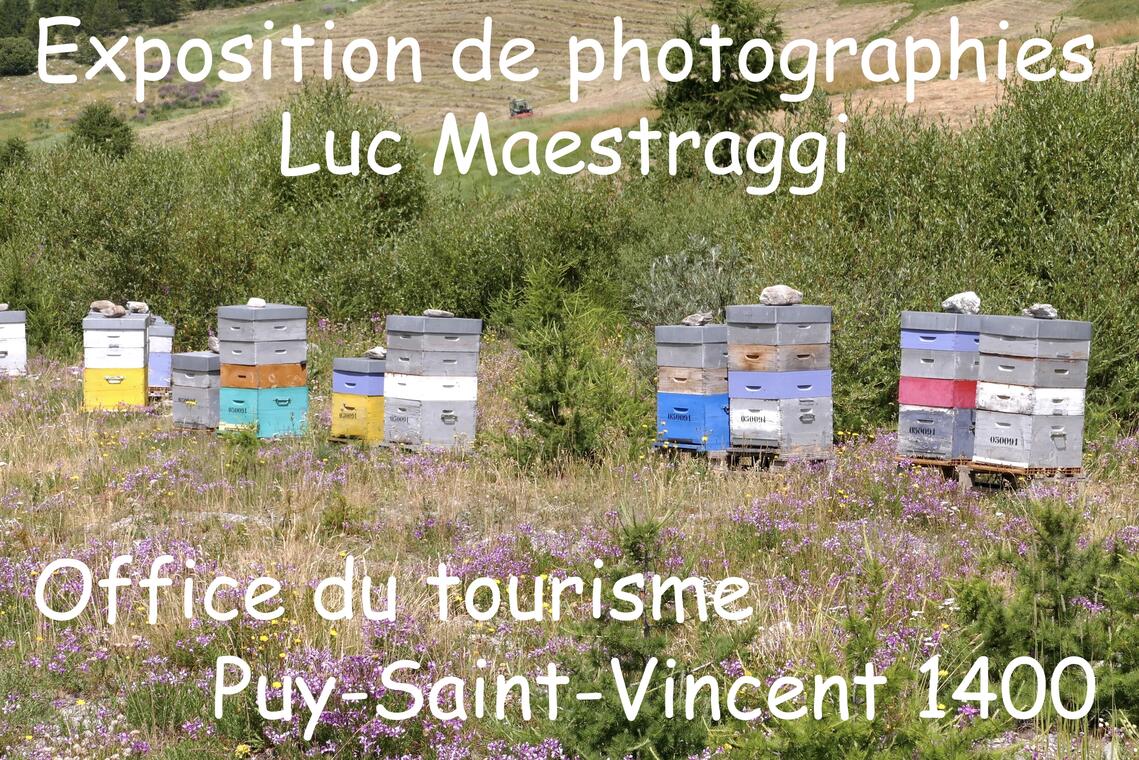 Exposition de photographies "Univers glacé" de Luc Maestraggi_Puy-Saint-Vincent