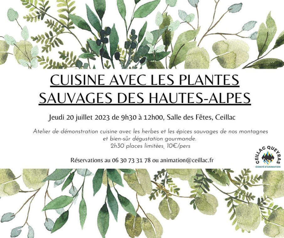 cuisine plante