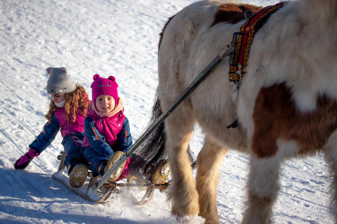 Poney Luge à Notre Dame de Bellecombe