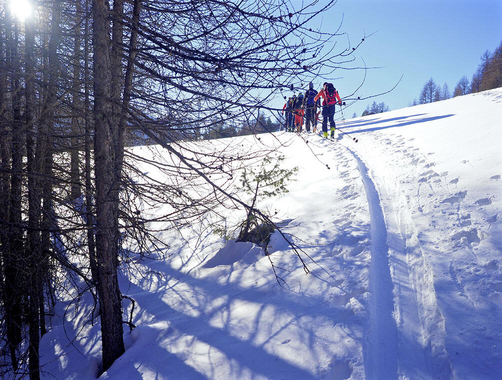 Ski de randonnée